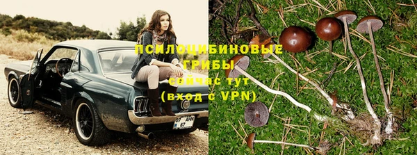 первитин Белокуриха